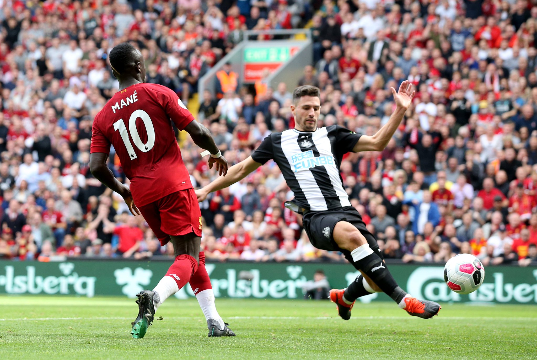 将提供给她 将提供给她